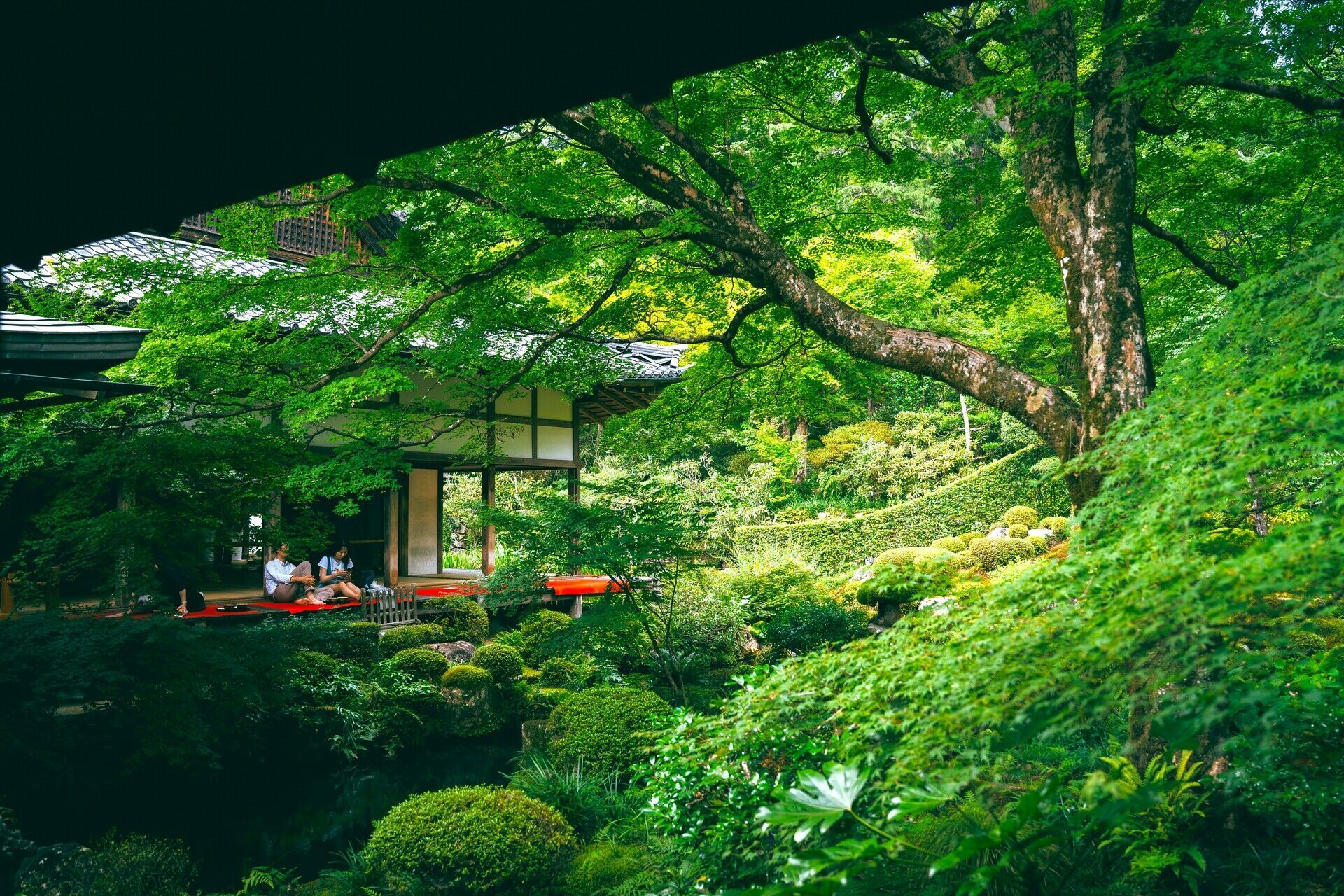 Circuit Intensément Japon 3* pas cher photo 5