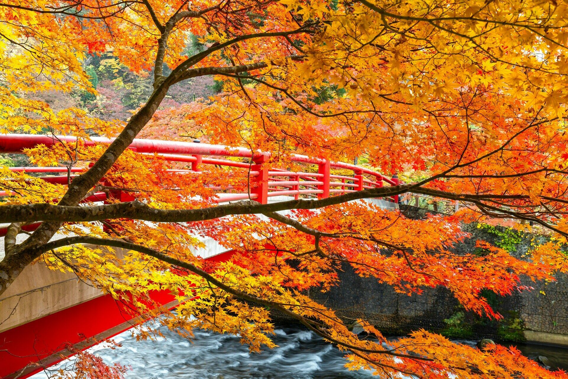 Circuit Intensément Japon 3* pas cher photo 19