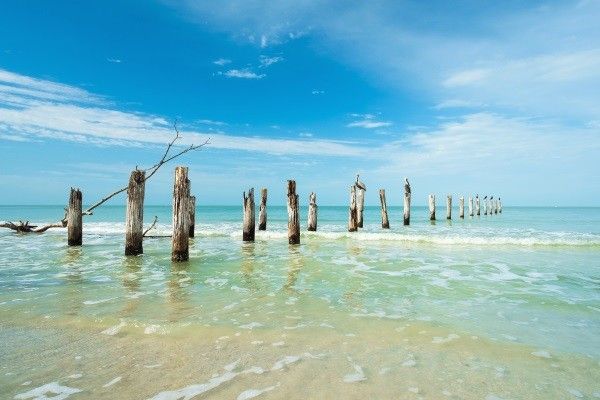 Circuit Sites mythiques de Floride pas cher photo 9