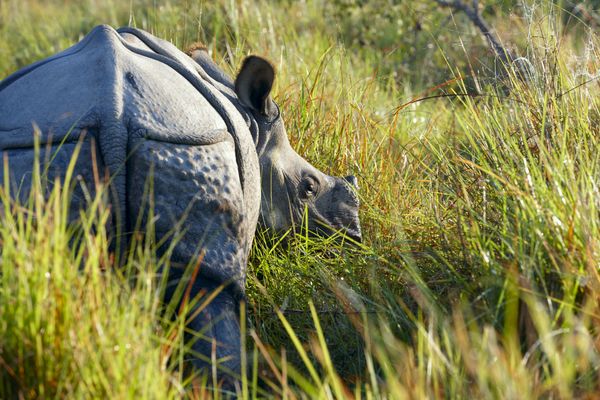 Circuit Sur les routes du Népal pas cher photo 9