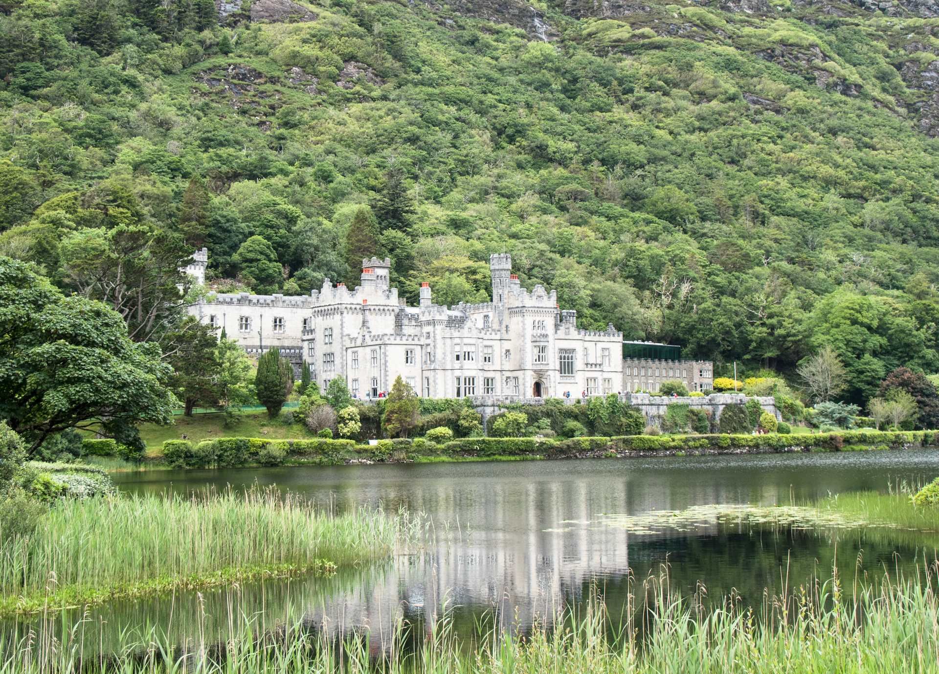 Cap sur l'Irlande - 8J/7N - 2026 pas cher photo 10