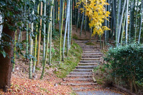 Circuit Traditions et culture du Japon 3* pas cher photo 20