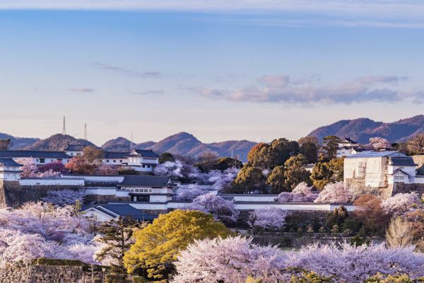 Circuit Traditions et culture du Japon 3* pas cher photo 23