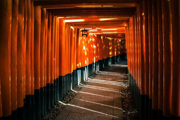 Circuit Traditions et culture du Japon 3* pas cher photo 24