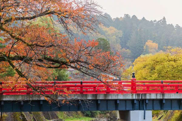Circuit Traditions et culture du Japon 3* pas cher photo 35