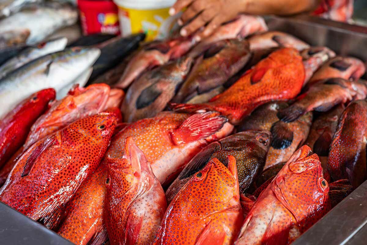 Circuit Echappée capverdienne depuis São Vicente pas cher photo 9