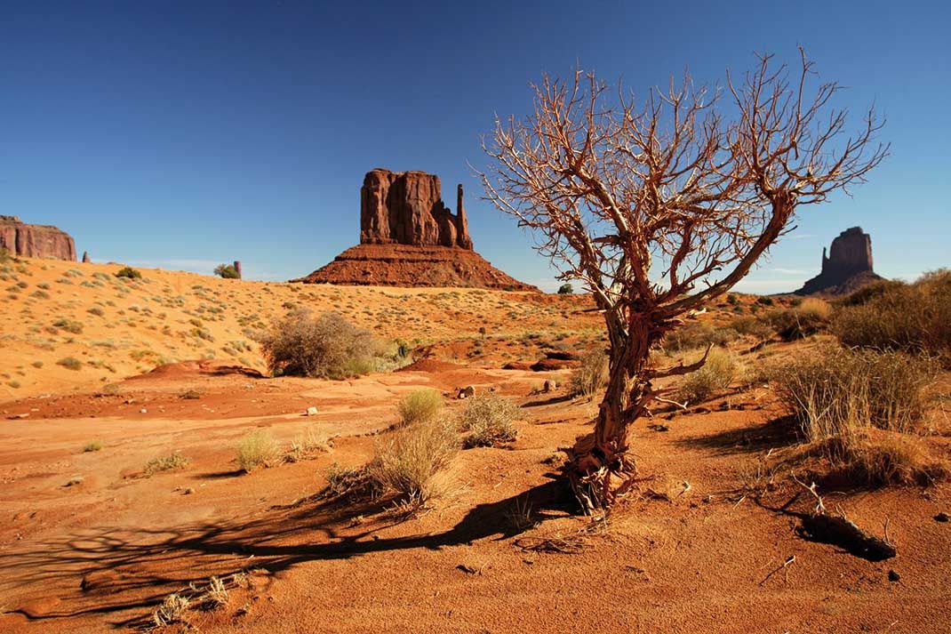 Confidentiel Ouest américain, parcs & highlights 2025 pas cher photo 5