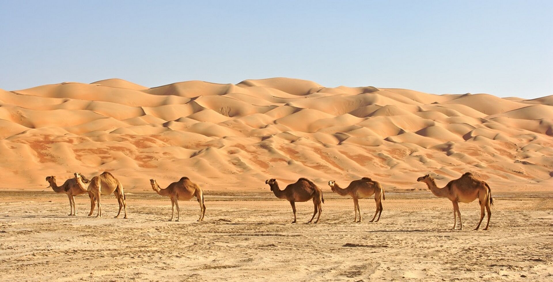 A la rencontre d'Oman - 9J/8N pas cher photo 4