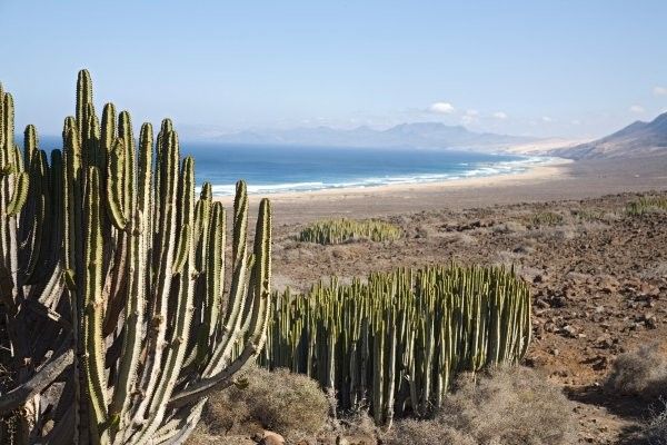 Circuit Entre plages et volcans de Lanzarote,extension 3 nuits au Framissima Evasion Vitalclass Lanz pas cher photo 1