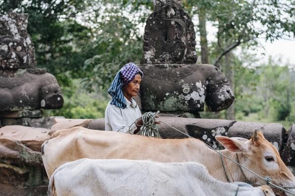 Circuit Charmes de Thaïlande aux Temples d'Angkor 4* pas cher