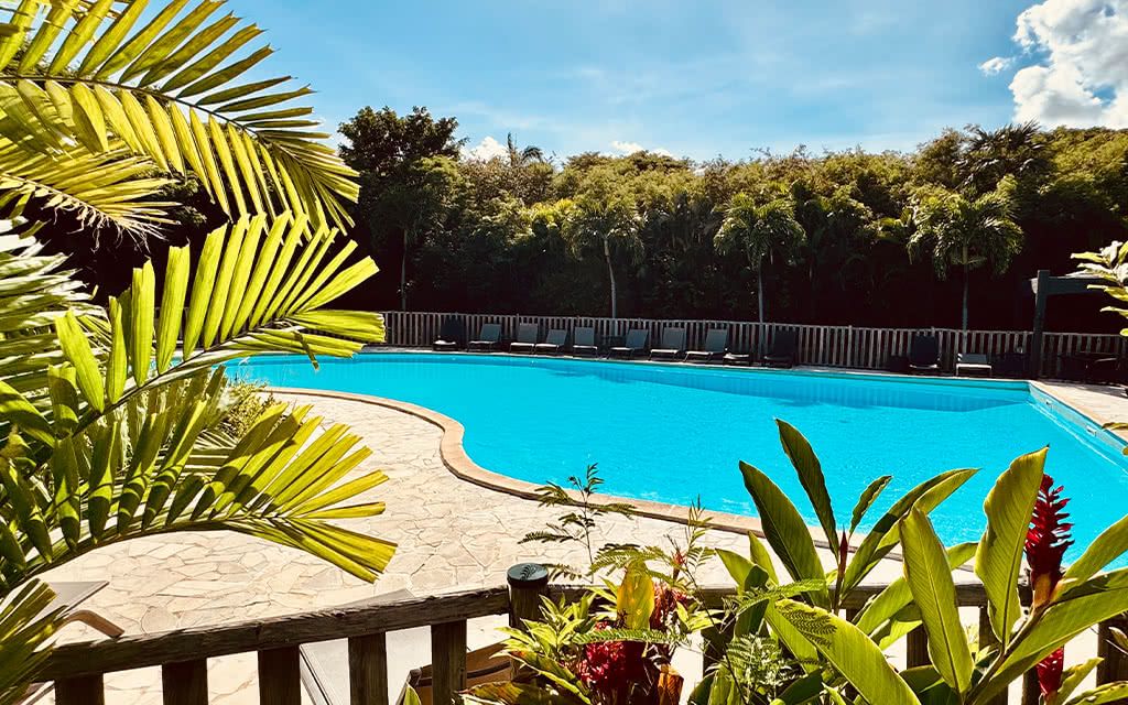 AUTOTOUR PTP / AMYRIS FDF pas cher photo 12