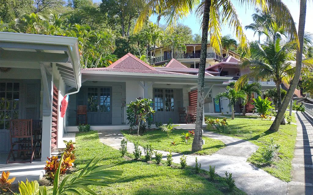 AUTOTOUR PTP / AMYRIS FDF pas cher photo 5