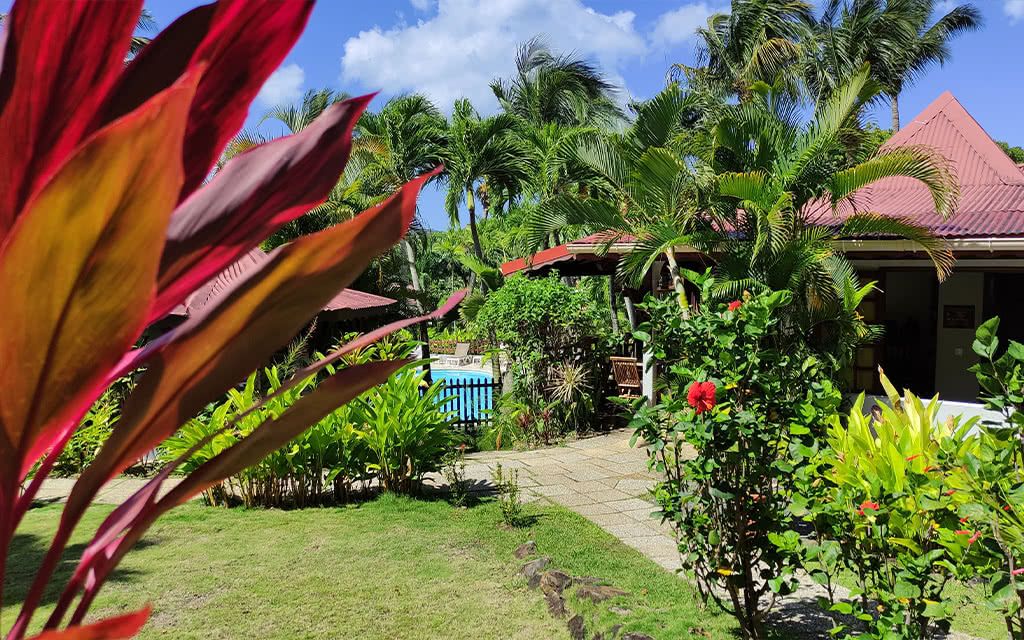 AUTOTOUR PTP / AMYRIS FDF pas cher photo 10