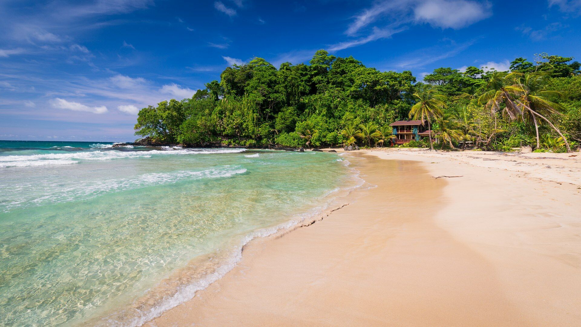 Découverte du Panama et Bocas del Toro - 13J/11N - Limité à 16 pers. pas cher photo 2