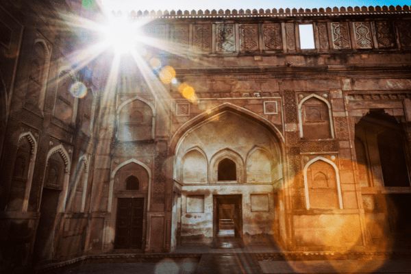 Circuit Le livre de la Jungle, entre oiseaux et tigres, en privatif pas cher photo 3