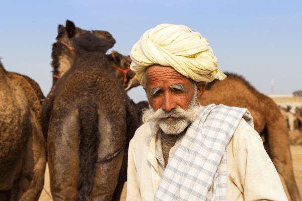 Circuit Le livre de la Jungle, entre oiseaux et tigres, en privatif pas cher photo 13