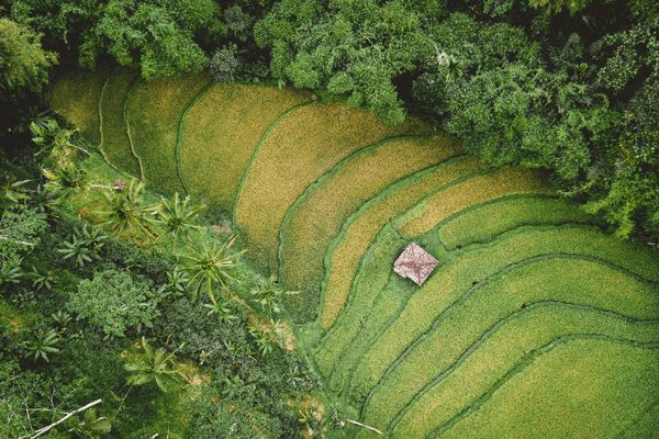 Circuit Au coeur du Laos pas cher photo 21