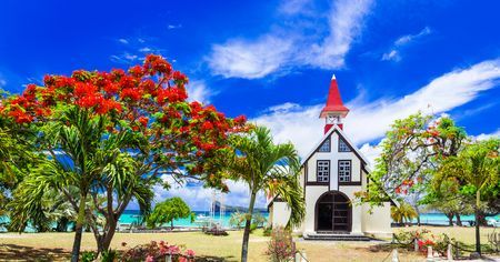 Immersion sur l'Ile de la Réunion & Extension L'Ile Maurice 13J/10N - 2025 pas cher photo 19