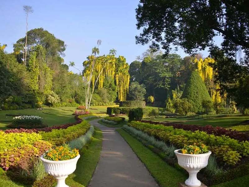 Circuit Tournée Perdue 4* pas cher photo 7