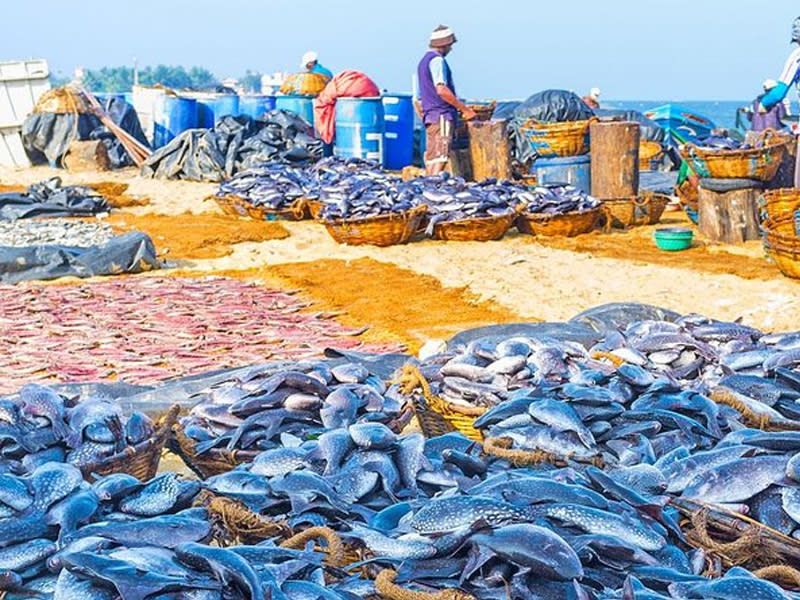 Circuit Tournée Perdue 4* pas cher photo 8