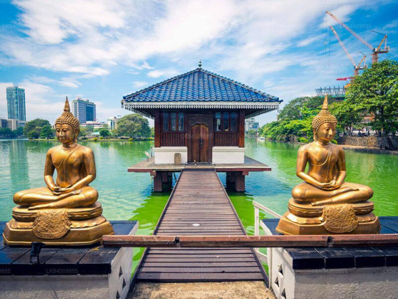 Circuit Visite Culturelle au Sri Lanka 4* pas cher photo 3