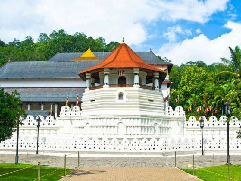 Circuit Visite Culturelle au Sri Lanka 4* pas cher photo 6