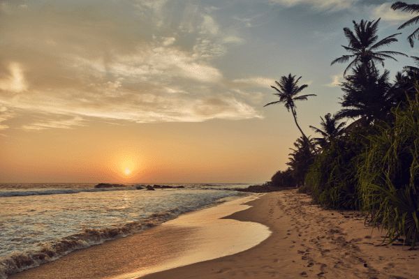 Circuit Le Sri Lanka en Liberté 3* pas cher photo 8