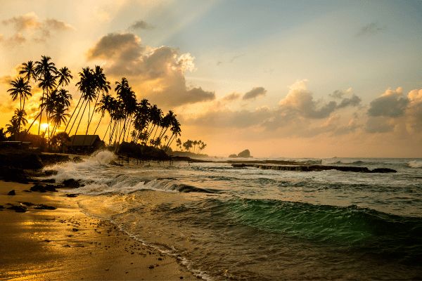 Circuit Le Sri Lanka en Liberté 3* pas cher photo 19