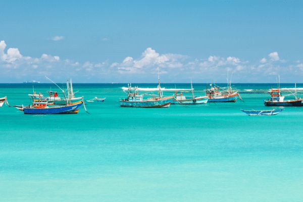 Circuit Le Sri Lanka en Liberté 3* pas cher photo 1