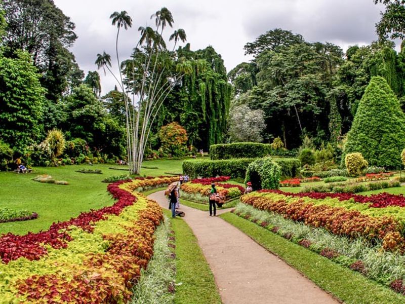 Circuit Perle du Sri Lanka 4* ou 5* pas cher photo 8