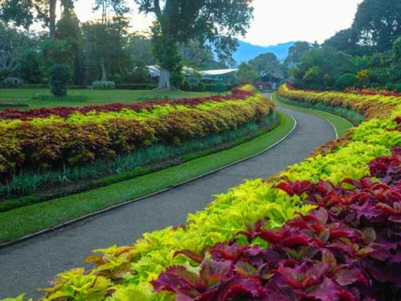 Circuit au Sri Lanka 4* ou 5* pas cher photo 4