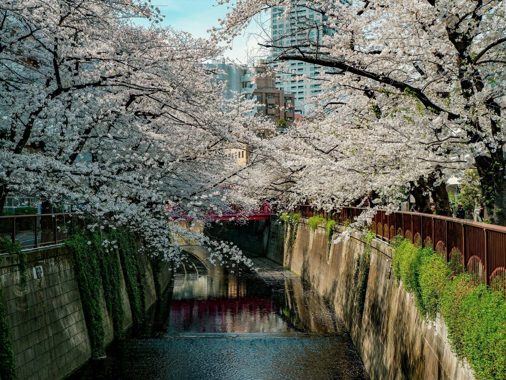 Circuit individuel 3 Perles du Japon en 3* ou 4* pas cher photo 6