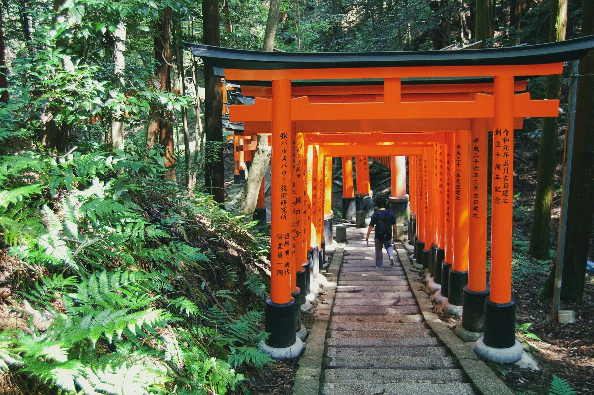 Circuit individuel 3 Perles du Japon en 3* ou 4* pas cher photo 9