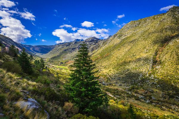 Autotour De la vallée du Douro aux routes de la Serra en liberté pas cher photo 26