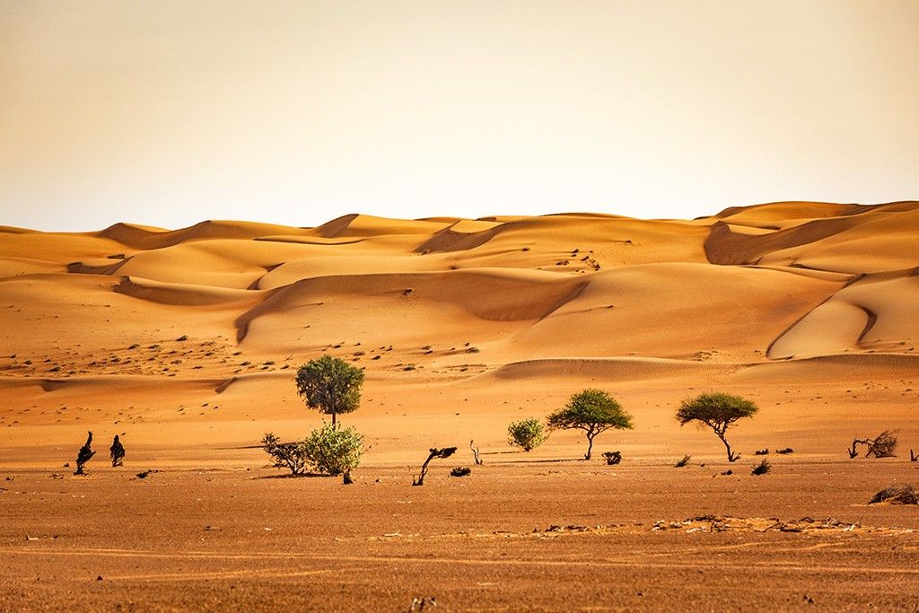 Circuit Oman Joyau d'Arabie 2*-3*-4* pas cher photo 10