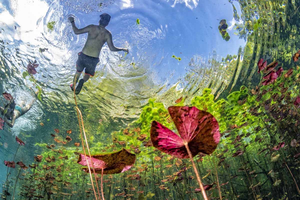 Circuit Echappée Mexicaine Classique depuis l'hôtel Viva Azteca by Wyndham 4* pas cher photo 4