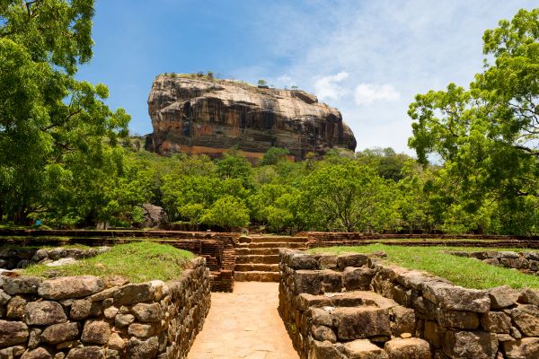 Circuit Dame Nature de Ceylan 3* pas cher photo 3