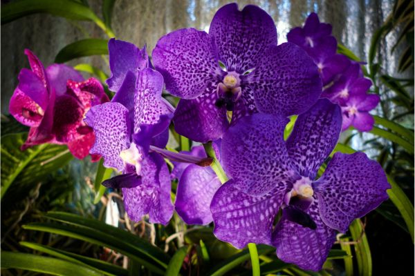 Circuit Dame Nature de Ceylan 3* pas cher photo 17