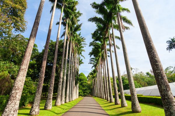 Circuit Dame Nature de Ceylan 3* pas cher photo 19