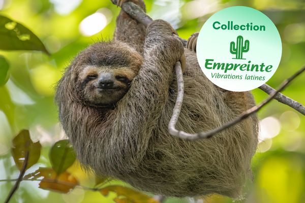 Circuit Sérénité et Détente 4* pas cher photo 2