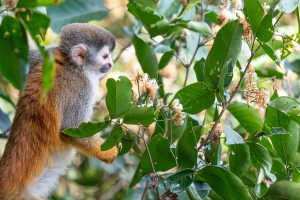 Circuit Sérénité et Détente 4* pas cher photo 13