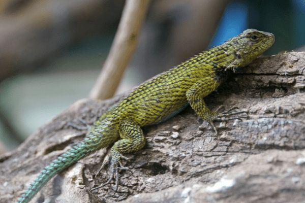 Circuit Sérénité et Détente 4* pas cher photo 18