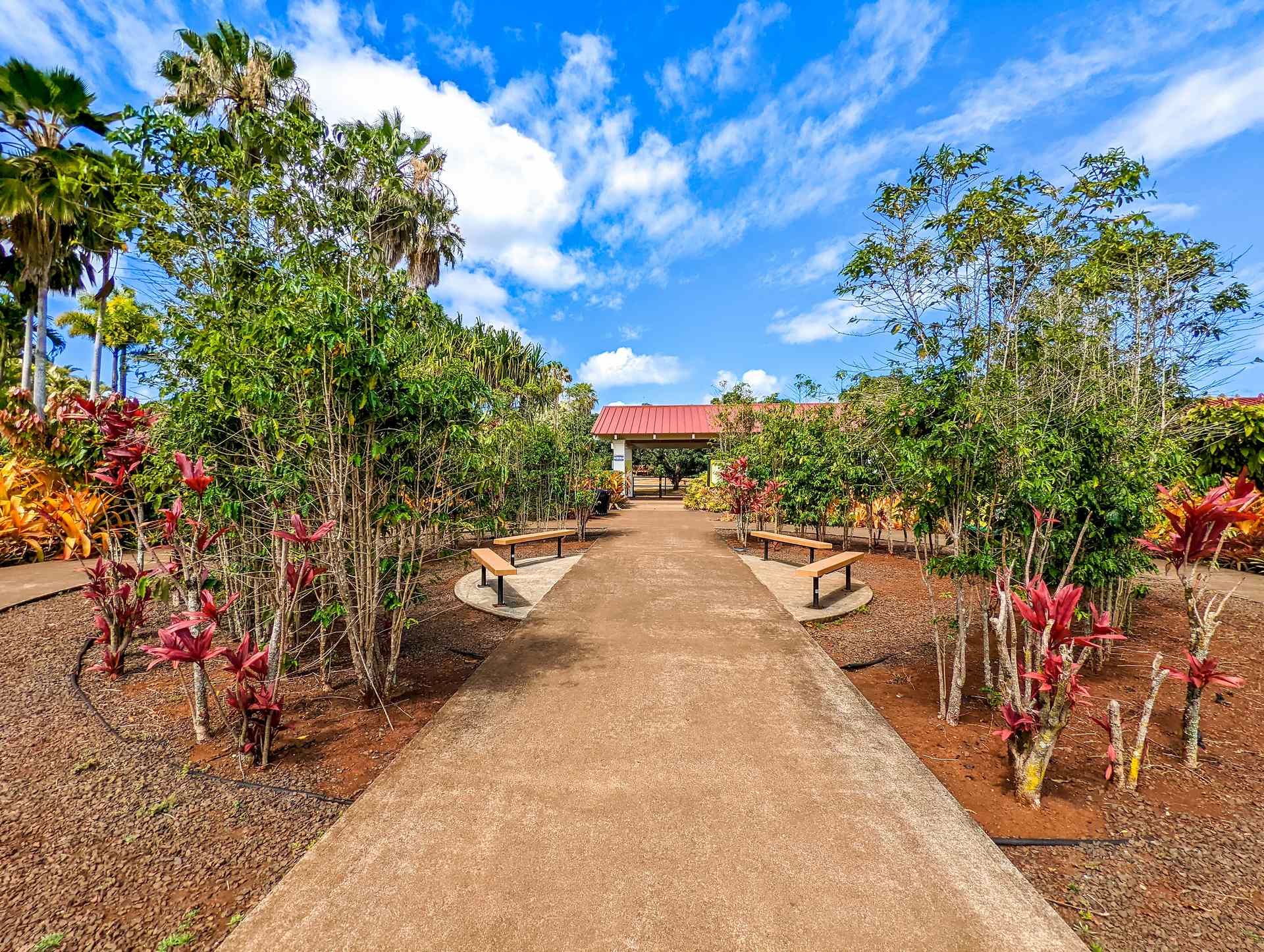 Autotour Aloha Hawaï - 15J/13N pas cher photo 8