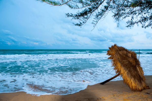 Circuit Lotus du Cambodge et plage à Sihanoukville pas cher photo 36