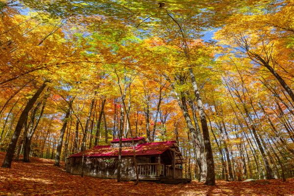 Circuit Expériences en famille dans l'Est canadien pas cher photo 53