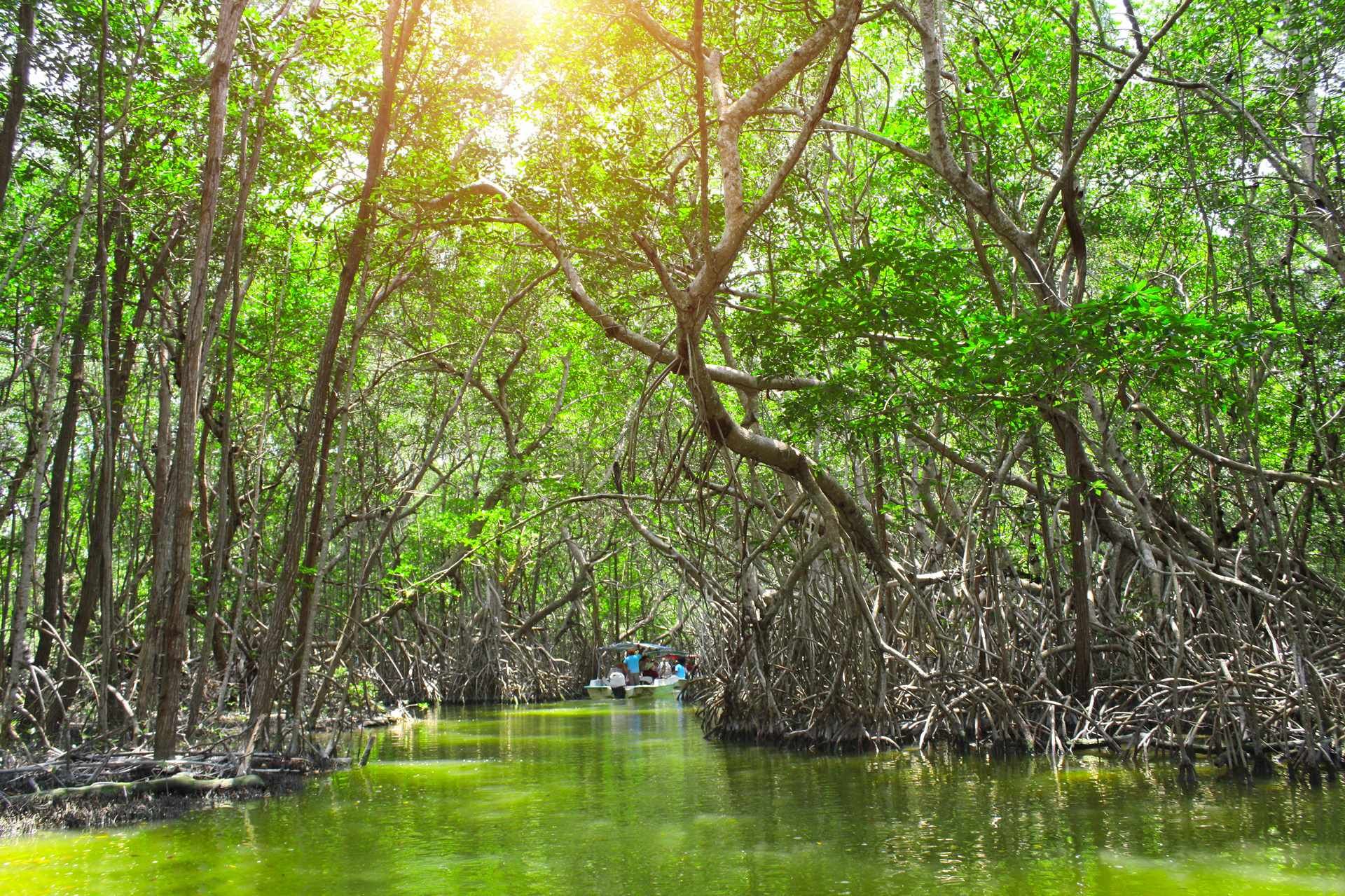 Sur la route: Les beautés du Yucatan - 11J/9N pas cher photo 5