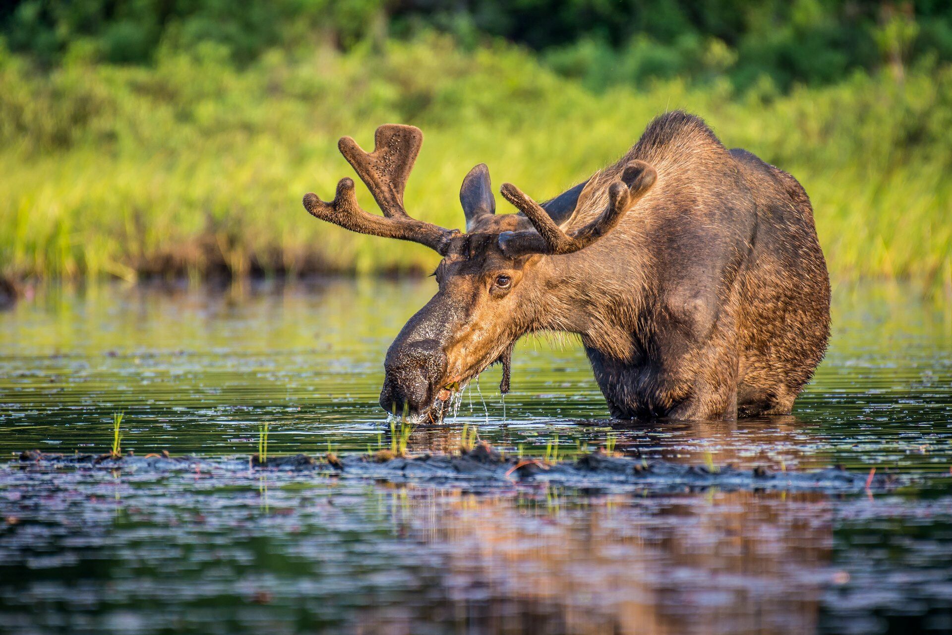 Autotour Petits Trésors de l'Est - STD - 16J/14N pas cher photo 3