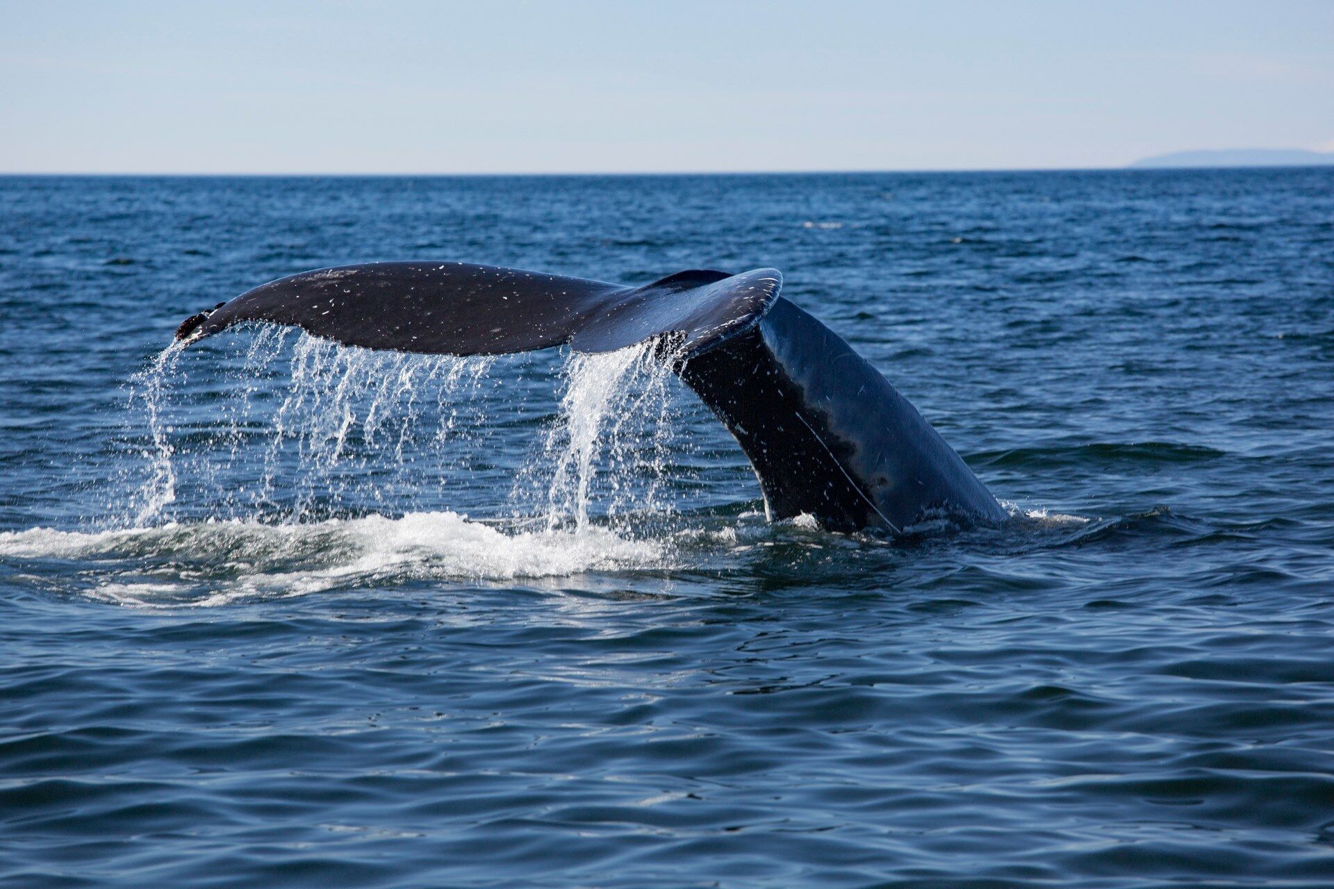 Autotour Petits Trésors de l'Est - STD - 16J/14N pas cher photo 7