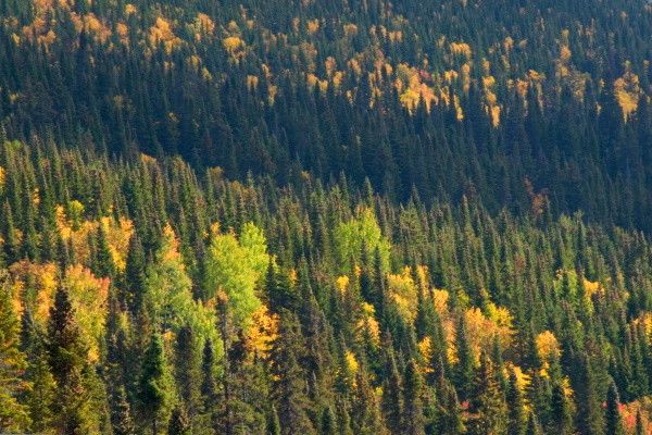Circuit Tout l'Est Canadien, de l'Ontario à la Gaspésie pas cher photo 16