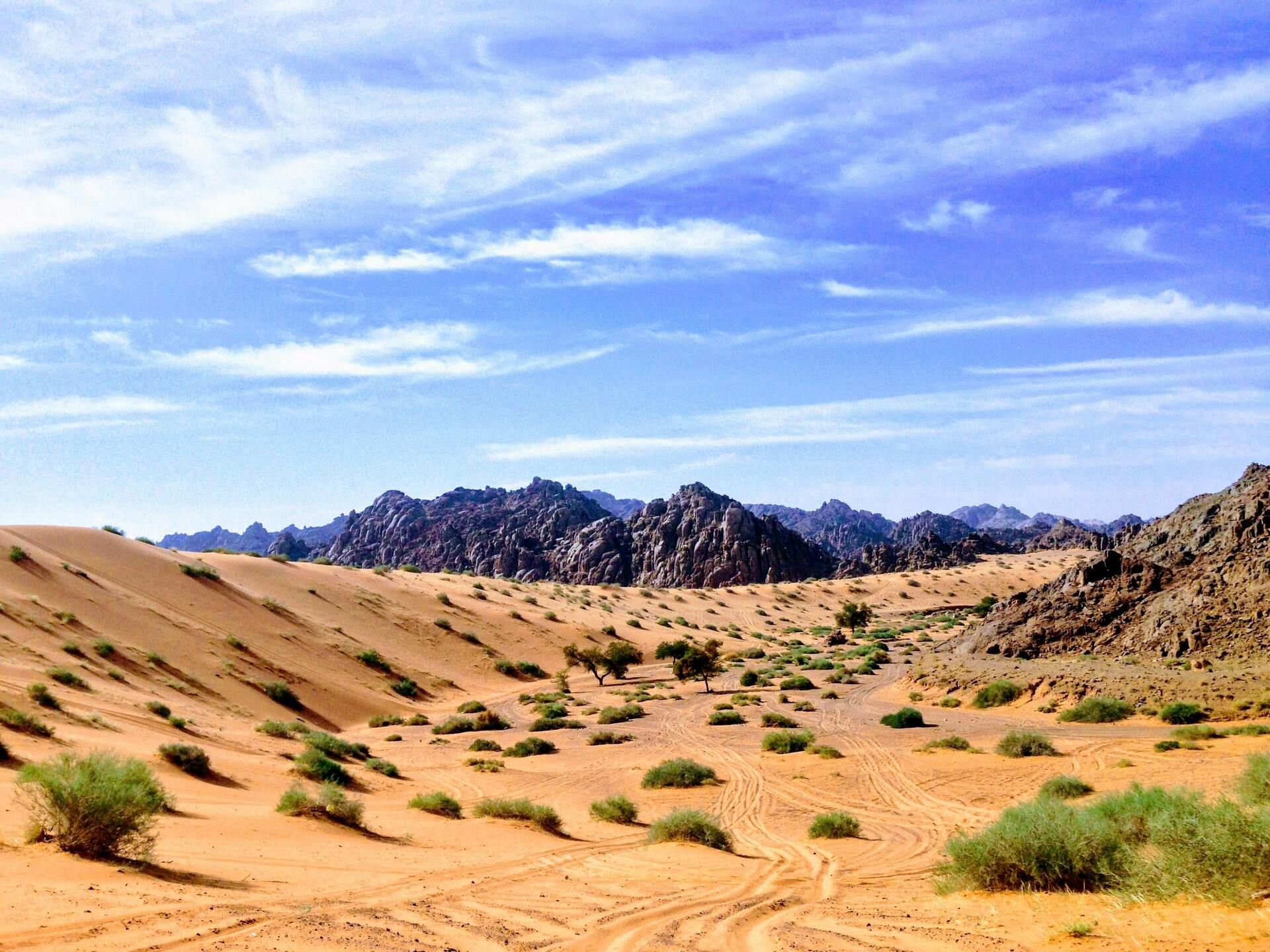 Circuit en Espagne : La Belle Andalouse pas cher photo 3